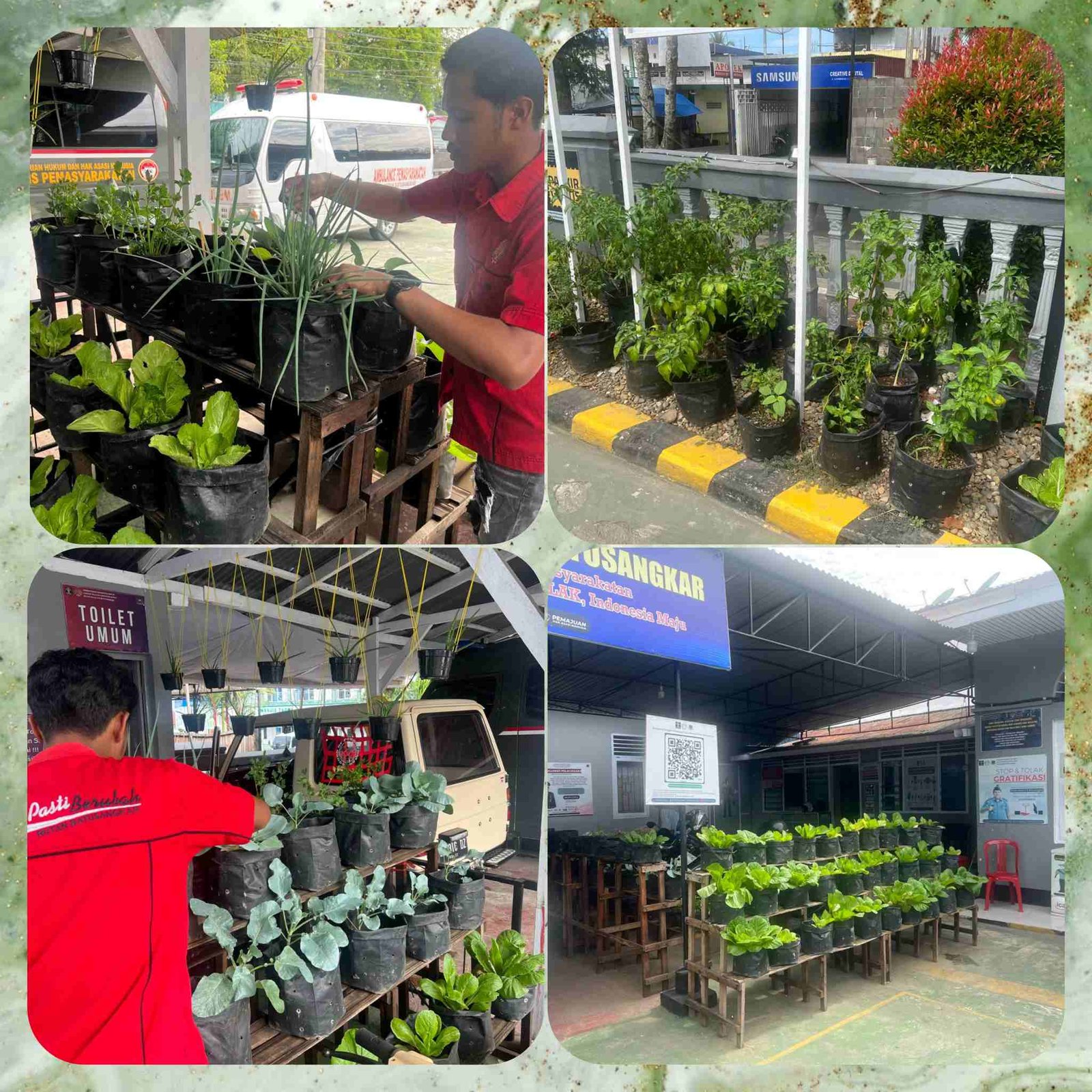 Polish_20250619_164817597_ZiEYdrJ73m