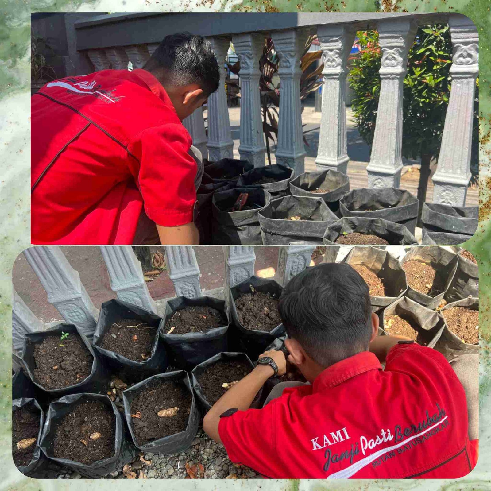 Polish_20250619_174927415_eiaPDznr3m