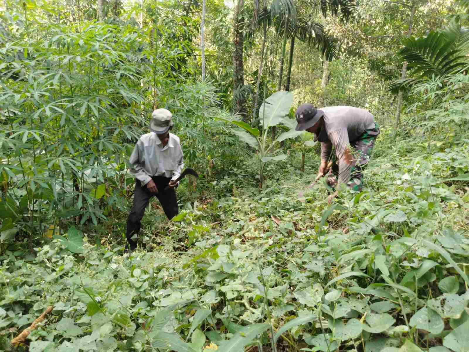 IMG-20250701-WA0554_2kWUKEMY3d