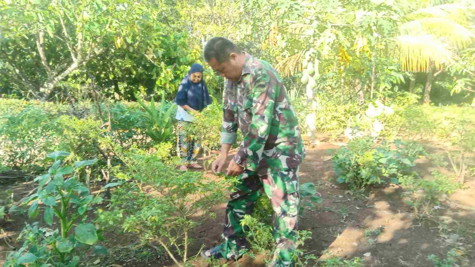 IMG-20250703-WA0252_RbHObO755J