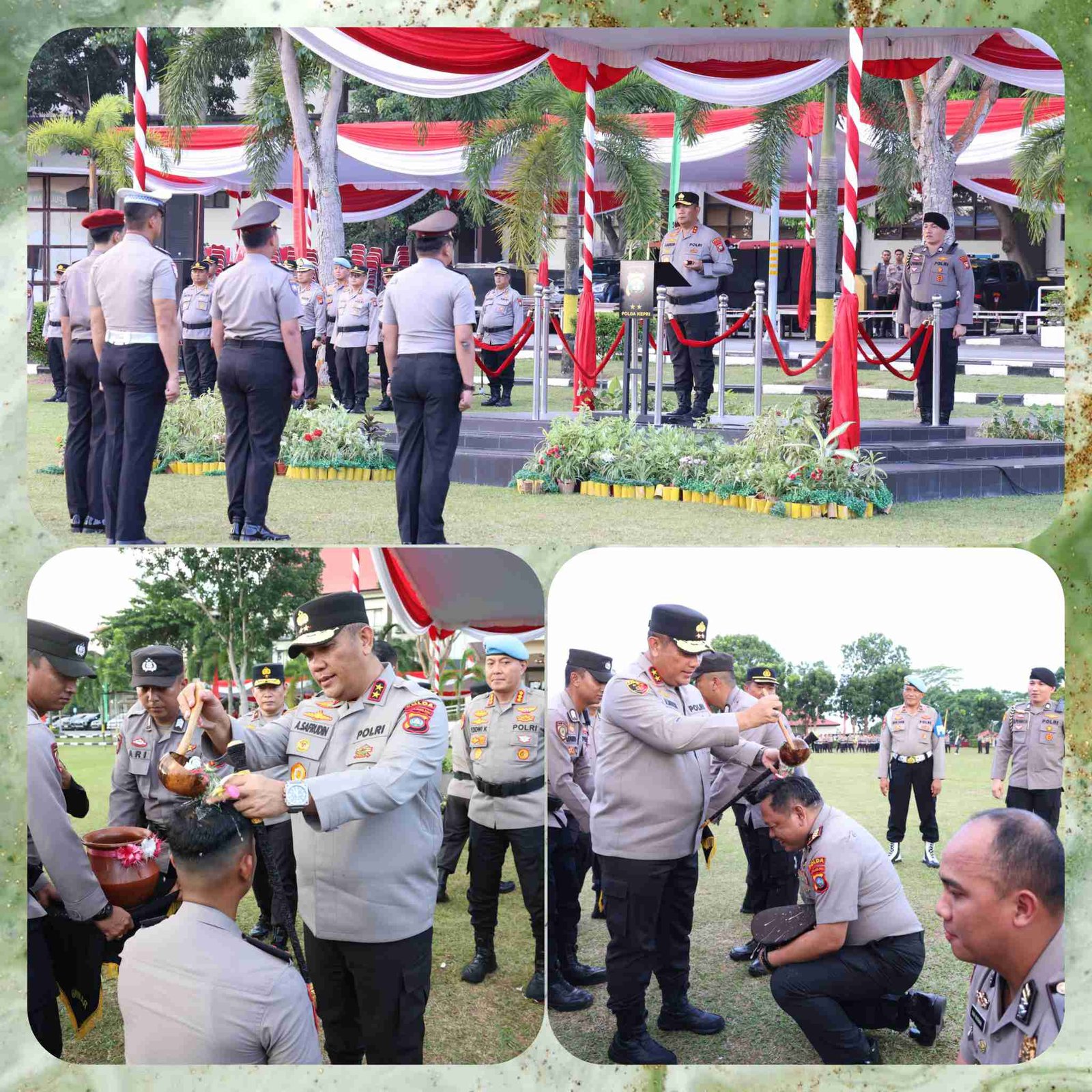 Polish_20250702_164115113_kzeRKea79B