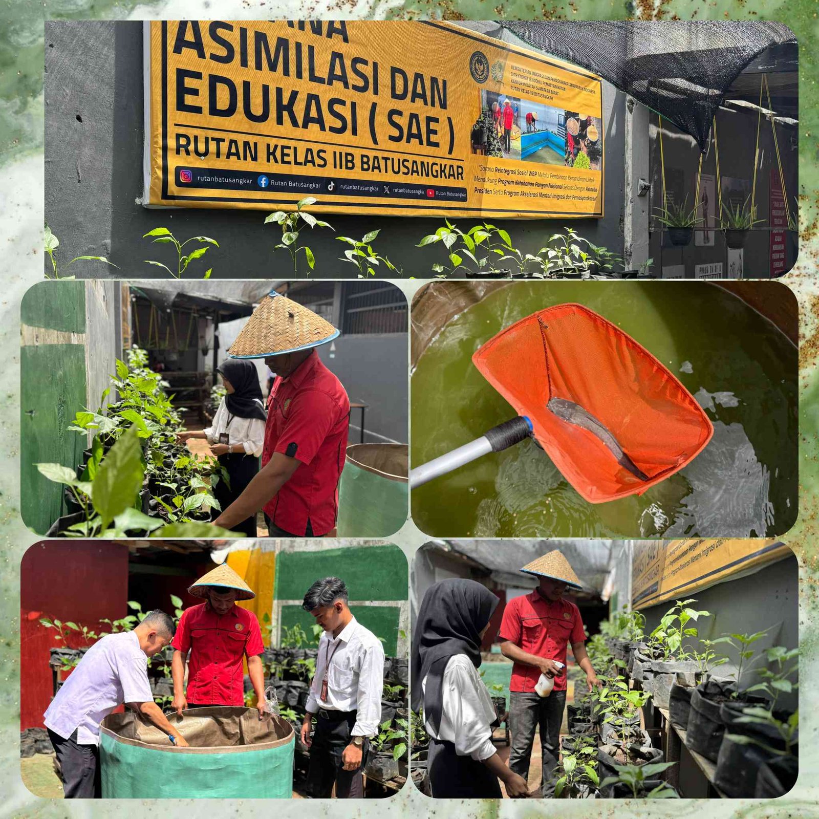 Polish_20260114_151039377