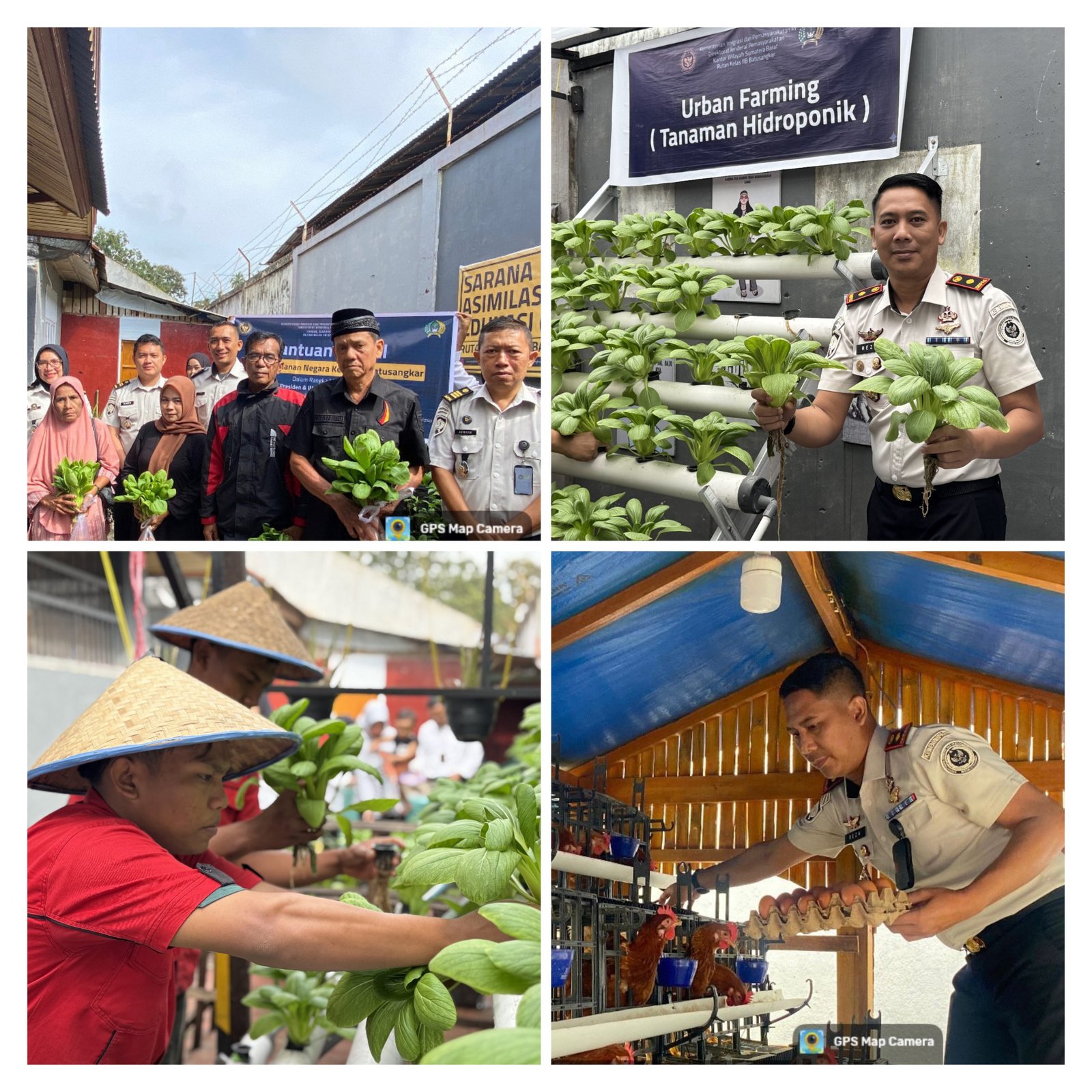 Panen & Bansos Program Ketahanan Pangan Di Area SAE Rutan Batusangkar : Bukti Suksesnya Pembinaan Kemandrian Warga Binaan