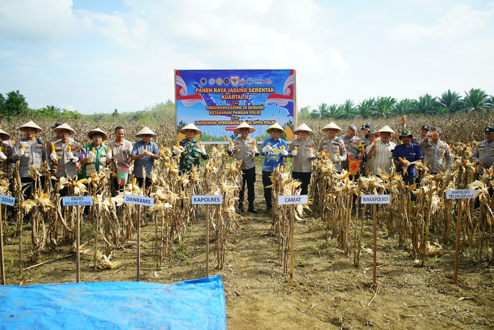 Panen Raya Jagung Serentak, Polres OKI Kirim 15 Ton Hasil Panen ke Bulog Palembang