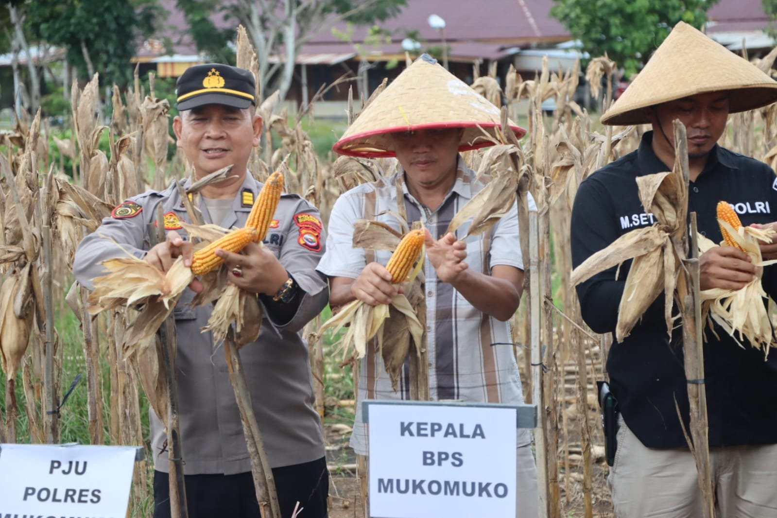Polres Mukomuko Gelar Panen Raya Jagung Serentak, Groundbreaking 10 Gudang Pangan dan Launching 166 SPPG Polri