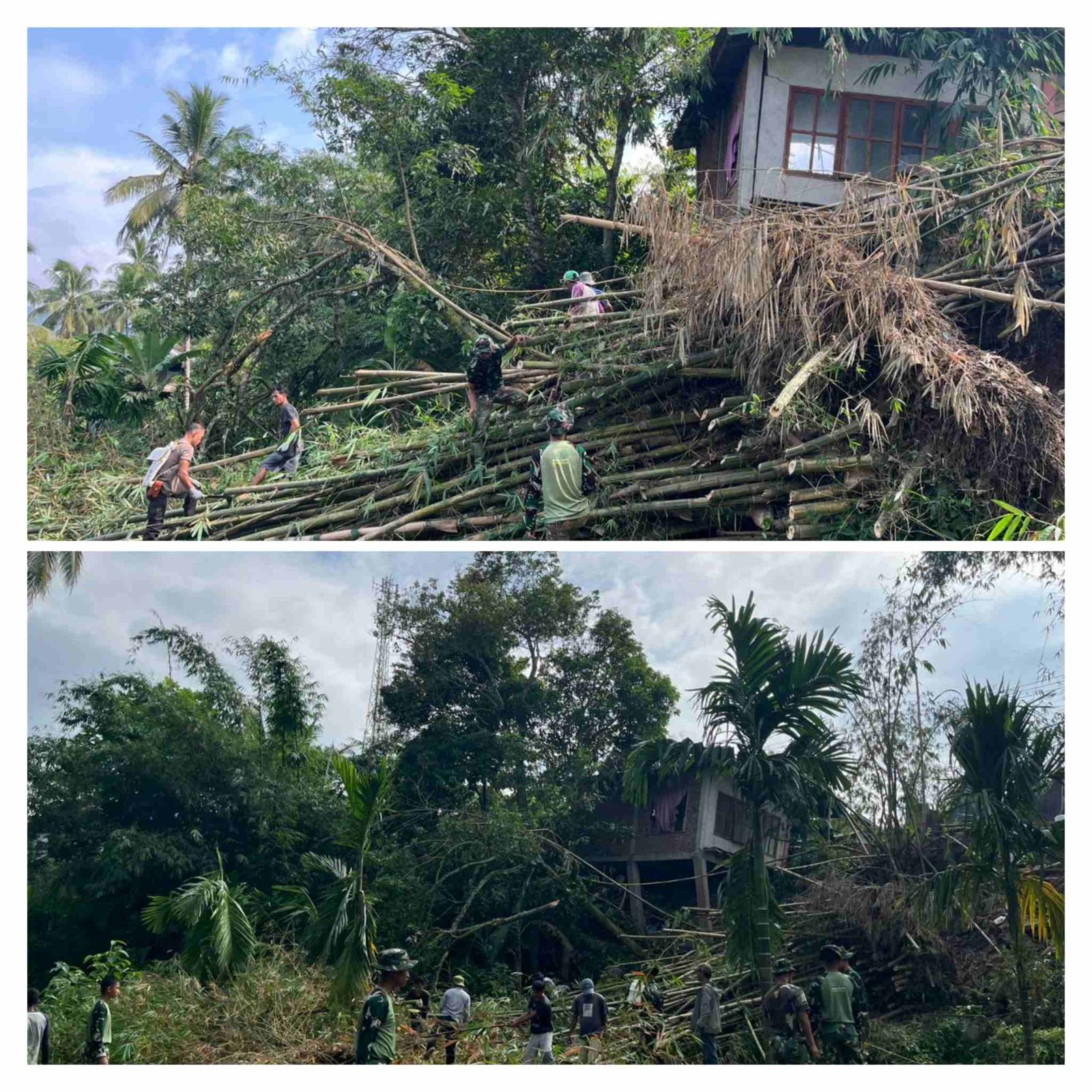 Sigap Tangani Bencana, Babinsa Koramil 04/Lintau Buo dan Yonif TP 951/Pandeka Marapi Bersihkan Bambu Roboh Menimpa Rumah Warga di Jorong Imam Bonjol
