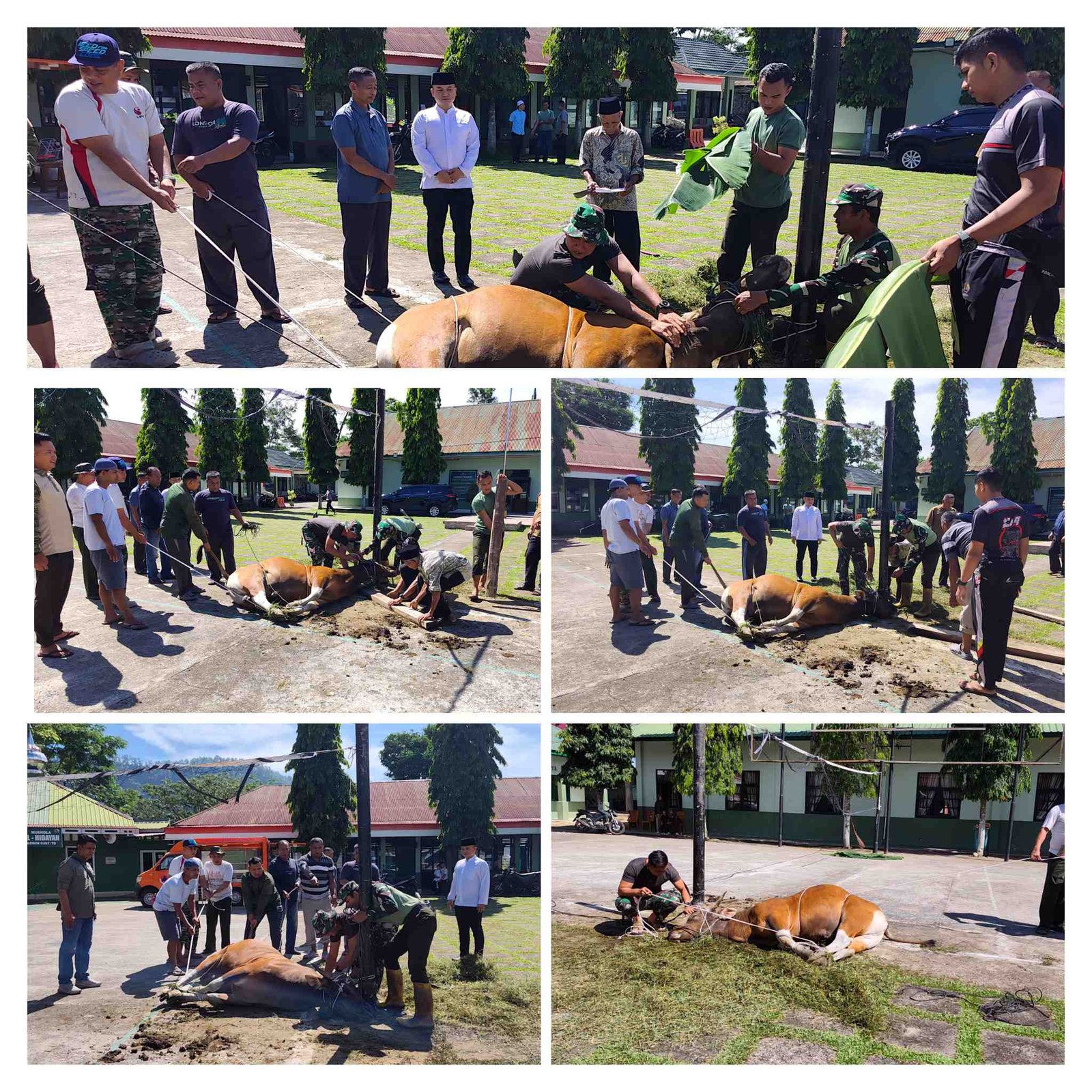 Wujud Rasa Syukur dan Kepedulian, Kodim 0307/TD Laksanakan Penyembelihan Hewan Qurban untuk Anggota dan Masyarakat Sekitar