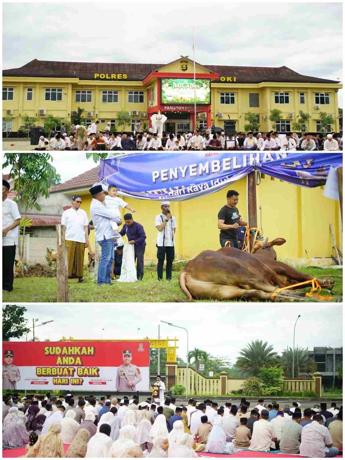 Semarak Idul adha 1447 H, Polres OKI Gelar Sholat Ied Bersama dan Sembelih 15 Sapi serta 17 Kambing Kurban