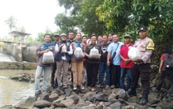 Polsek Palas Bersama Tim UKM Dan Jajaran Uspika Tebar Bibit Ikan Patin Di Sungai Way Pisang