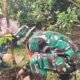 Wujud Sinergi TNI-Polri Peduli Lingkungan, Dandim 0307/TD Hadiri Penanaman 1.000 Pohon oleh Polres Tanah Datar