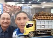 PPWI: Potong TBS 9% Anomali, Petani Sawit Alami Ketidakadilan