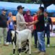 Walikota Payakumbuh Tegaskan Komitmen Kembangkan Sektor Peternakan