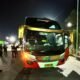 Bus dari Palembang Bawa 991 Burung Liar, Terhenti Saat Diperiksa di Bakauheni”