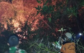 Babinsa Koramil 402-10/Kayuagung Turun Langsung Padamkan Karhutla di Muara Burnai 1