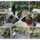 Gerak Cepat! Personel Kodim 0307/TD Tuntaskan Pembangunan Jembatan Gantung di Jorong Kampuang Tangah, Pagaruyung