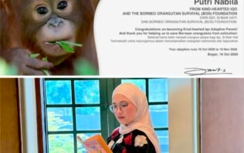 Karhutla Kian Parah, Aktivis Pemuda Putri Nabila Damayanti, SH Soroti Kepunahan Satwa Dilindungi