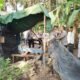 Polres OKI Bongkar Sembilan Pondok Diduga Jadi Lokasi Penyalahgunaan Narkoba